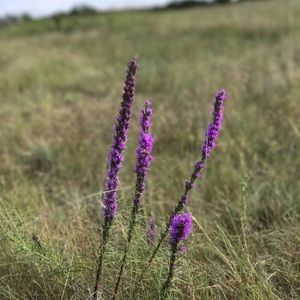 Meet your Posher, Maci